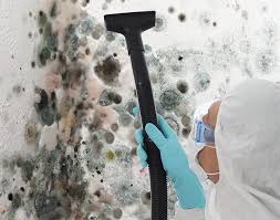 Best Mold Remediation for Healthcare Facilities  in Hamlet, NC